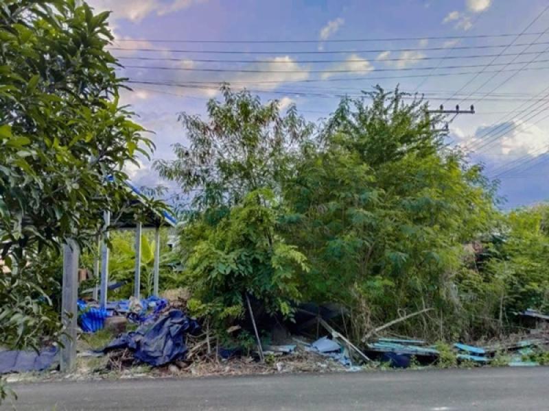 รูปที่3 ต้องการขายที่ดินเปล่า บึงบอน หนองเสือ ราคา 150,000 บาท