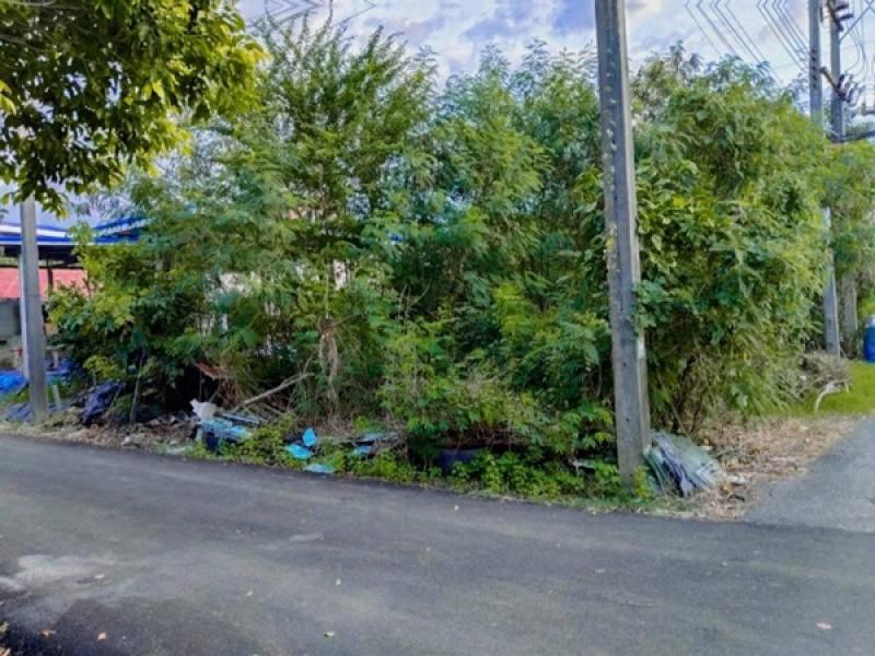 รูปที่4 ต้องการขายที่ดินเปล่า บึงบอน หนองเสือ ราคา 150,000 บาท