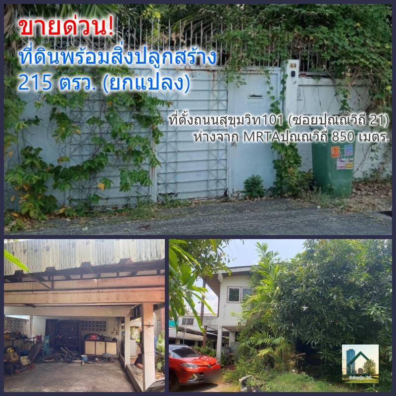 รูปภาพสินทรัพย์