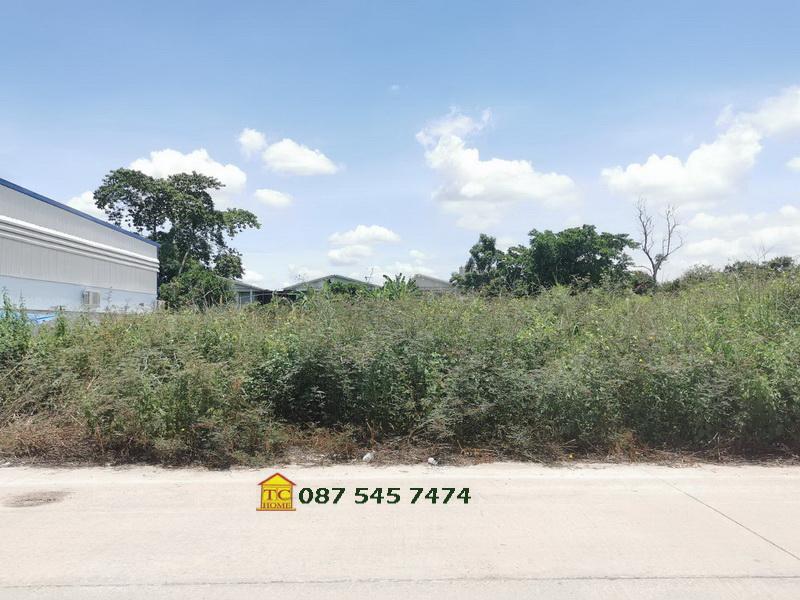 รูปที่2 ต้องการขายที่ดินเปล่า ราษฎร์นิยม ไทรน้อย ราคา 2,700,000 บาท