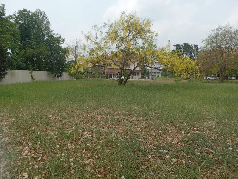 รูปที่2 ต้องการขายที่ดินเปล่า ท้ายเกาะ สามโคก ราคา 7,500,000 บาท