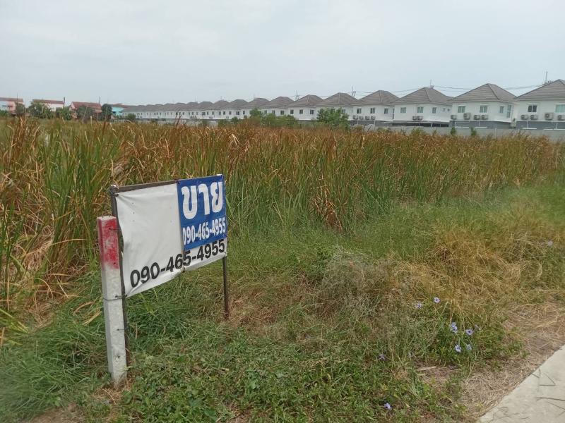 รูปที่3 ต้องการขายที่ดินเปล่า บางปูใหม่ เมืองสมุทรปราการ ราคา 22,000,000 บาท