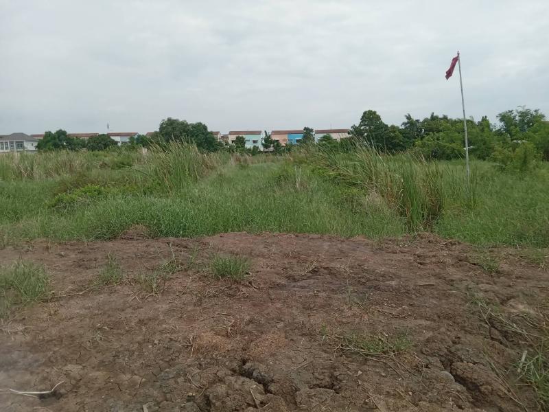 รูปที่3 ต้องการขายที่ดินเปล่า บางปูใหม่ เมืองสมุทรปราการ ราคา 10,000,000 บาท