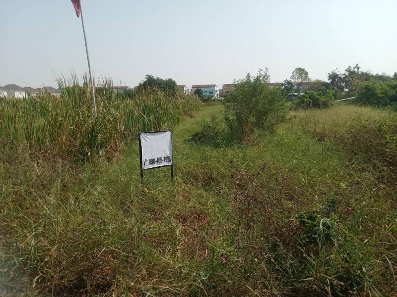 รูปที่4 ต้องการขายที่ดินเปล่า บางปูใหม่ เมืองสมุทรปราการ ราคา 10,000,000 บาท