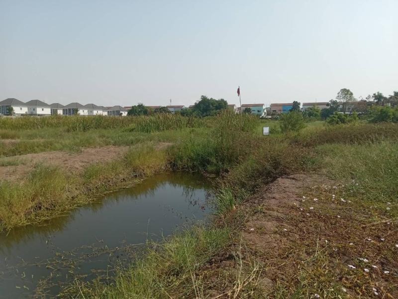 รูปที่5 ต้องการขายที่ดินเปล่า บางปูใหม่ เมืองสมุทรปราการ ราคา 10,000,000 บาท