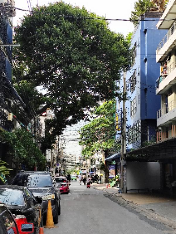 รูปที่5 ต้องการขายบ้านพร้อมที่ดิน ห้วยขวาง เขตห้วยขวาง ราคา 12,500,000 บาท