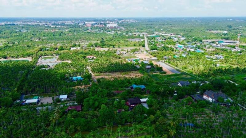 รูปที่4 ต้องการขายที่ดินเปล่า บางตีนเป็ด เมืองฉะเชิงเทรา ราคา 2,900,000 บาท