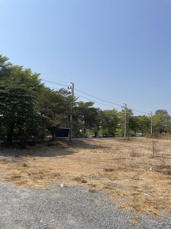 รูปที่4 ต้องการขายที่ดินเปล่า ลาดหลุมแก้ว ลาดหลุมแก้ว ราคา 45,900,000 บาท