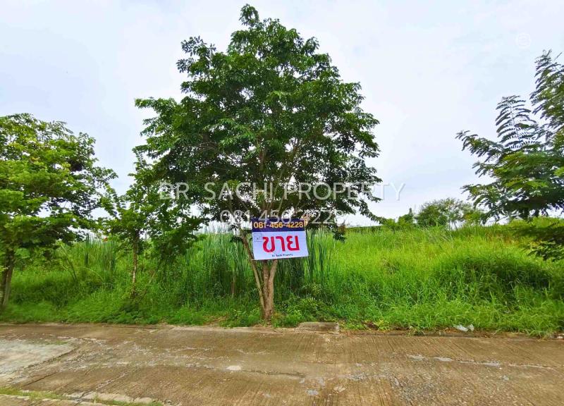 รูปที่4 ต้องการขายที่ดินเปล่า พิมลราช บางบัวทอง ราคา 7,360,000 บาท