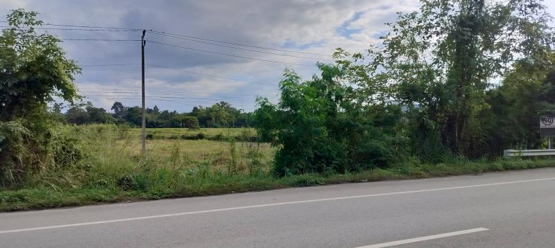 รูปภาพสินทรัพย์