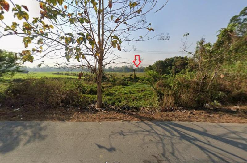 รูปที่3 ต้องการขายที่ดินเปล่า เชิงดอย ดอยสะเก็ด  