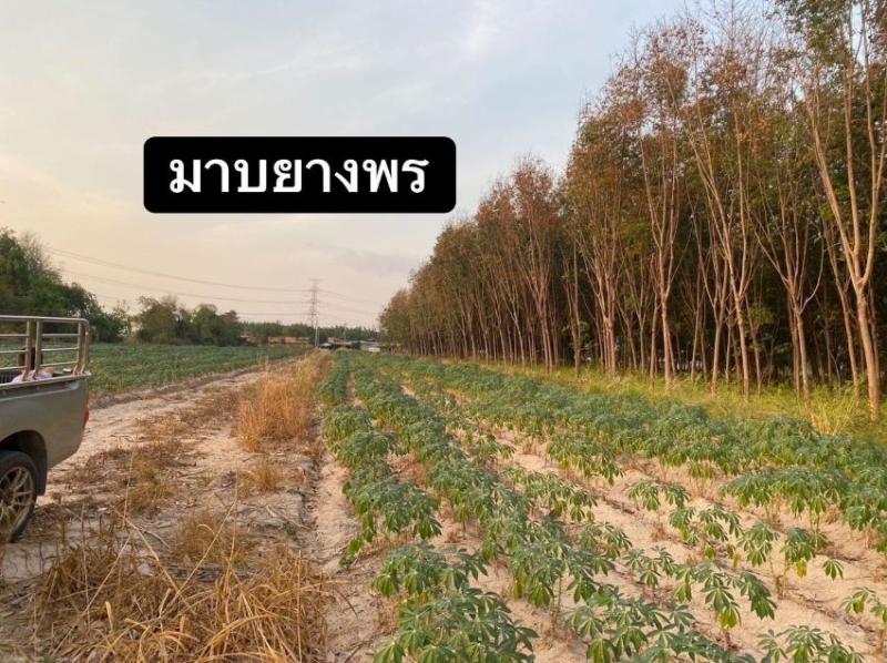 รูปที่3 ต้องการขายที่ดินเปล่า มาบยางพร ปลวกแดง ราคา 3,000,000 บาท