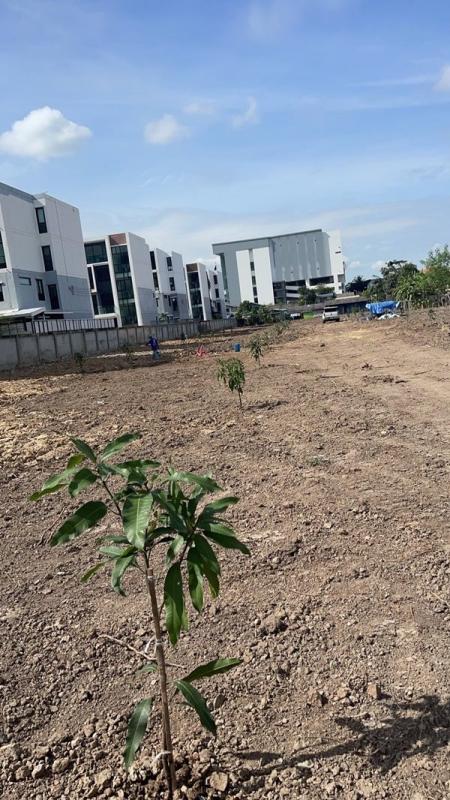 รูปที่2 ต้องการขายที่ดินเปล่า ราชาเทวะ บางพลี ราคา 85,000 บาท