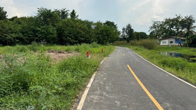 รูปที่6 ต้องการขายที่ดินเปล่า ทะเลบก ดอนเจดีย์ ราคา 2,400,000 บาท