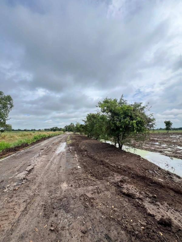 รูปที่7 ต้องการขายที่ดินเปล่า คลองห้า คลองหลวง ราคา 3,852,000 บาท