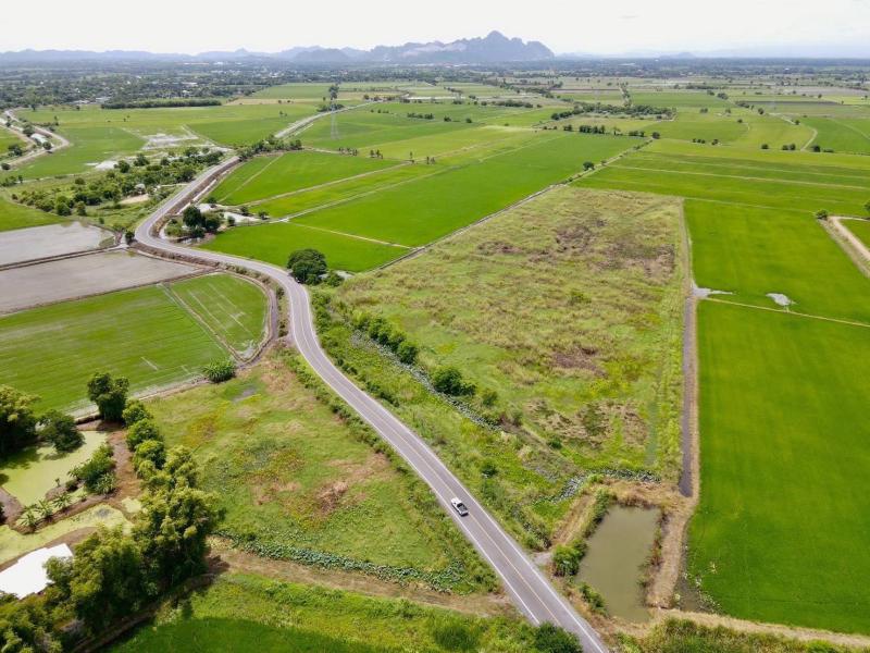 รูปที่2 ต้องการขายที่ดินเปล่า หรเทพ บ้านหมอ ราคา 6,590,000 บาท