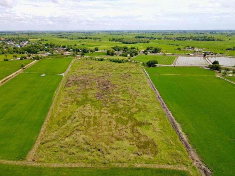 รูปที่7 ต้องการขายที่ดินเปล่า หรเทพ บ้านหมอ ราคา 6,590,000 บาท