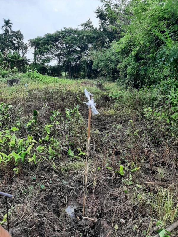 รูปภาพสินทรัพย์