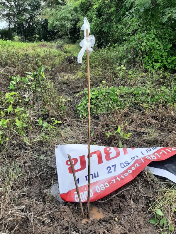 รูปที่2 ต้องการขายที่ดินเปล่า เมืองพาน พาน ราคา 450,000 บาท