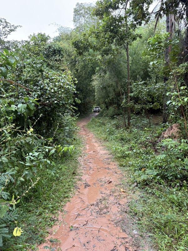 รูปที่4 ต้องการขายที่ดินเปล่า หนองบัว กันทรารมย์ ราคา 130,000 บาท