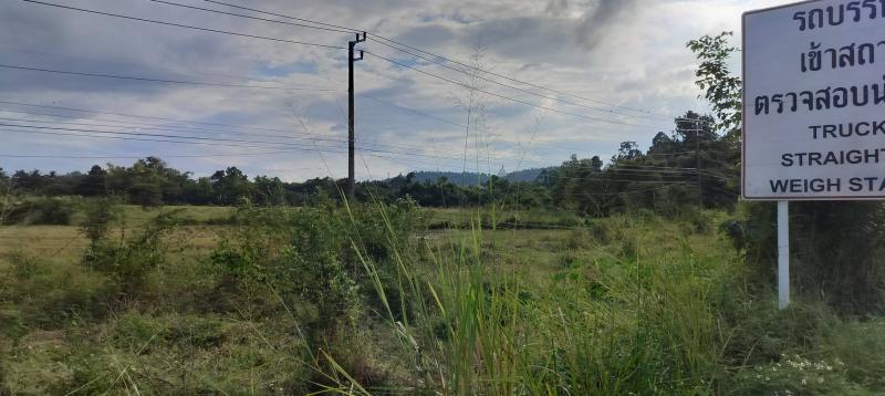 รูปที่8 ต้องการขายที่ดินเปล่า เชิงดอย ดอยสะเก็ด  