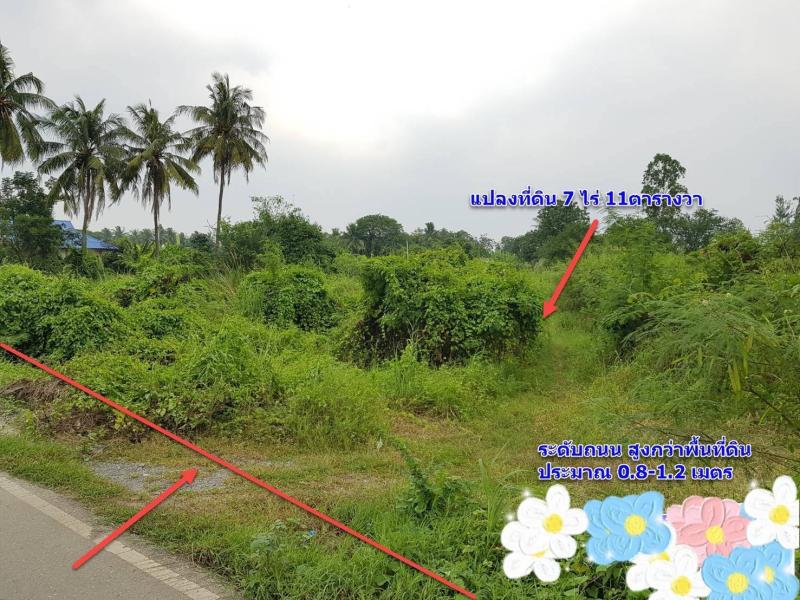 รูปที่3 ต้องการขายที่ดินเปล่า หนองกบ บ้านโป่ง ราคา 6,500,000 บาท