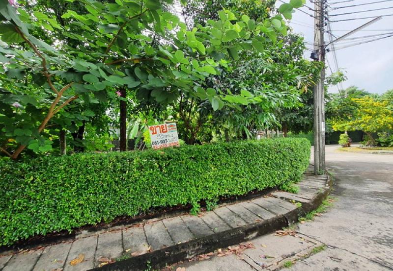 รูปที่3 ต้องการขายที่ดินเปล่า คลองกุ่ม เขตบึงกุ่ม ราคา 4,500,000 บาท