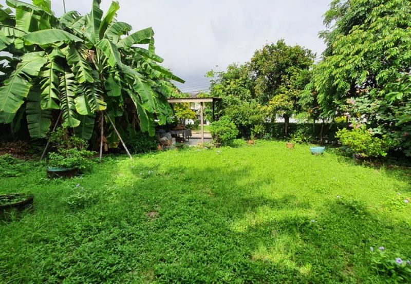 รูปที่6 ต้องการขายที่ดินเปล่า คลองกุ่ม เขตบึงกุ่ม ราคา 4,500,000 บาท