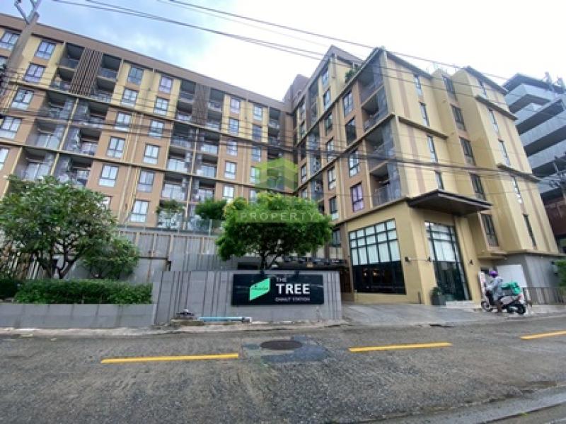 รูปภาพสินทรัพย์