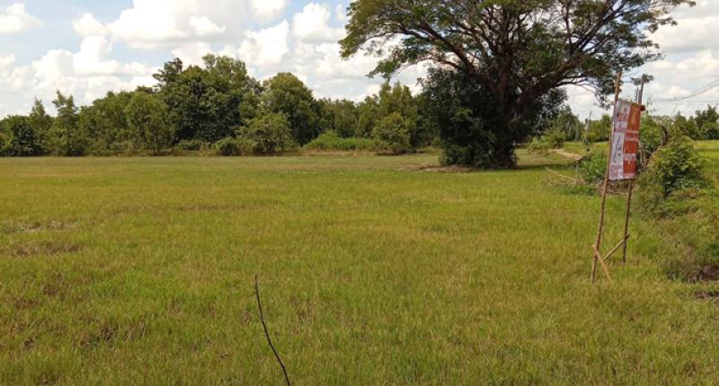 รูปที่2 ต้องการขายที่ดินเปล่า หนองแก้ว เมืองศรีสะเกษ ราคา 1,200,000 บาท