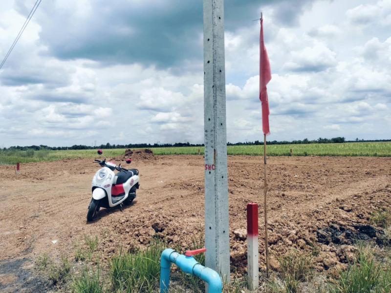 รูปที่4 ต้องการขายที่ดินเปล่า บึงชำอ้อ หนองเสือ ราคา 443,000 บาท