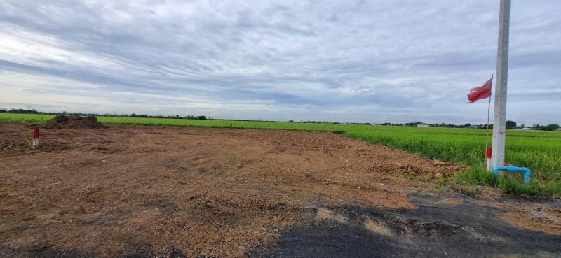 รูปที่8 ต้องการขายที่ดินเปล่า บึงชำอ้อ หนองเสือ ราคา 443,000 บาท