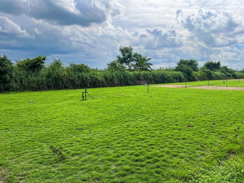 รูปที่4 ต้องการขายที่ดินเปล่า คลองเจ็ด คลองหลวง ราคา 350,000 บาท