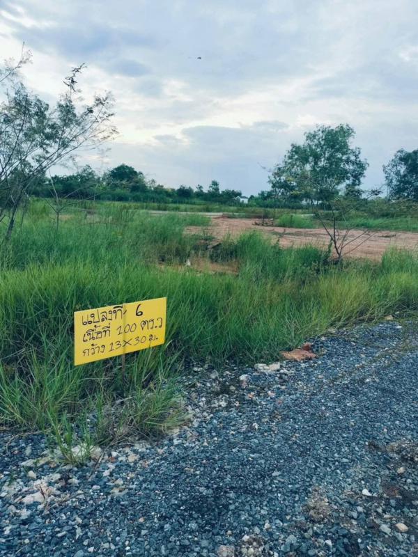 รูปที่4 ต้องการขายที่ดินเปล่า บึงชำอ้อ หนองเสือ ราคา 450,000 บาท