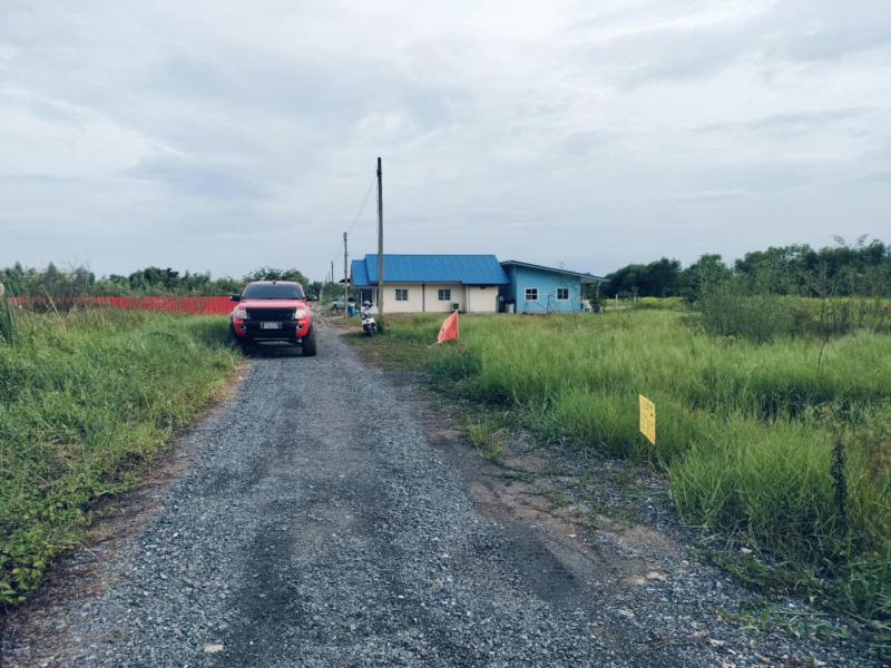 รูปที่5 ต้องการขายที่ดินเปล่า บึงชำอ้อ หนองเสือ ราคา 450,000 บาท