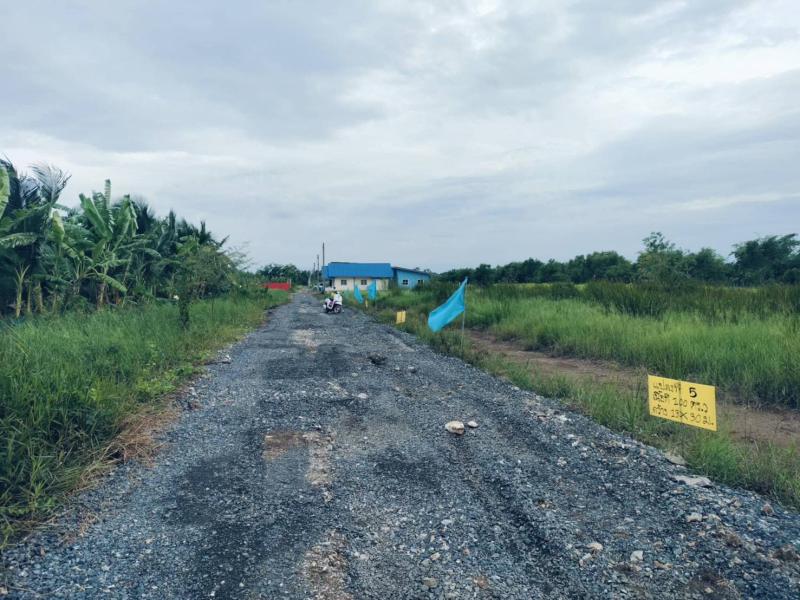 รูปที่8 ต้องการขายที่ดินเปล่า บึงชำอ้อ หนองเสือ ราคา 450,000 บาท
