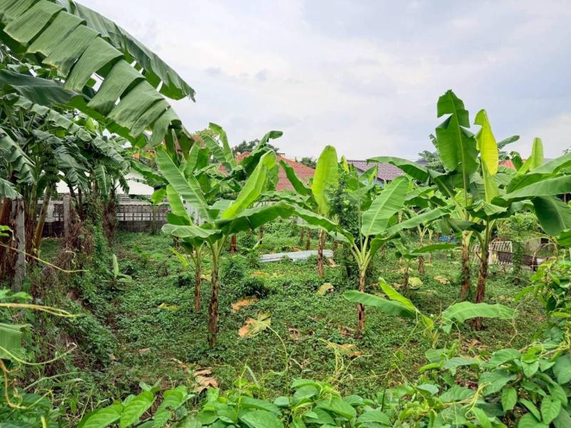 รูปที่5 ต้องการขายที่ดินเปล่า อนุสาวรีย์ เขตบางเขน ราคา 5,880,000 บาท