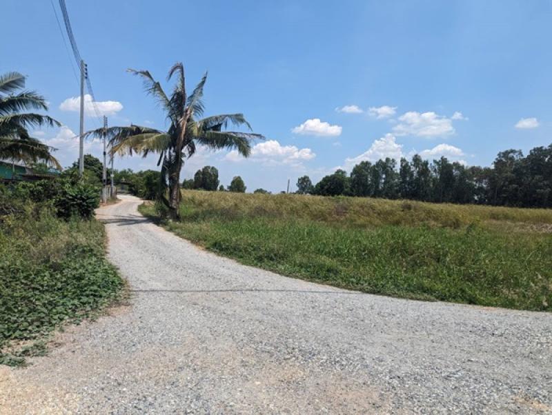 รูปที่5 ต้องการขายที่ดินเปล่า โคกเพลาะ พนัสนิคม ราคา 2,590,000 บาท