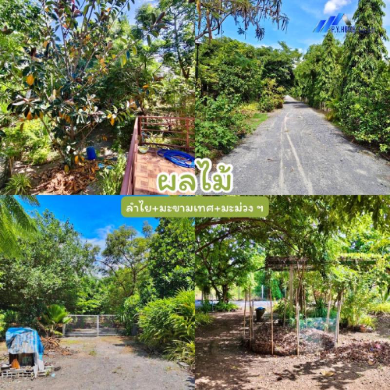 รูปที่7 ต้องการขายบ้านพร้อมที่ดิน พุคำจาน พระพุทธบาท ราคา 11,000,000 บาท