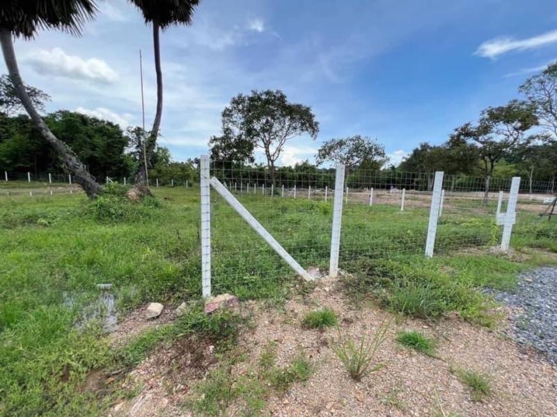 รูปภาพสินทรัพย์