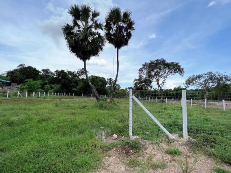 รูปที่4 ต้องการขายที่ดินเปล่า เขาพระ เมืองนครนายก ราคา 2,400,000 บาท