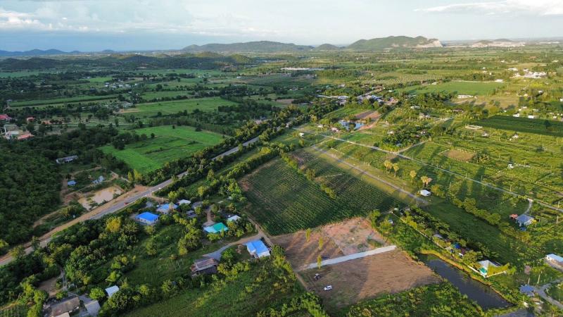 รูปที่3 ต้องการขายที่ดินเปล่า หนองประดู่ เลาขวัญ ราคา 150,000 บาท