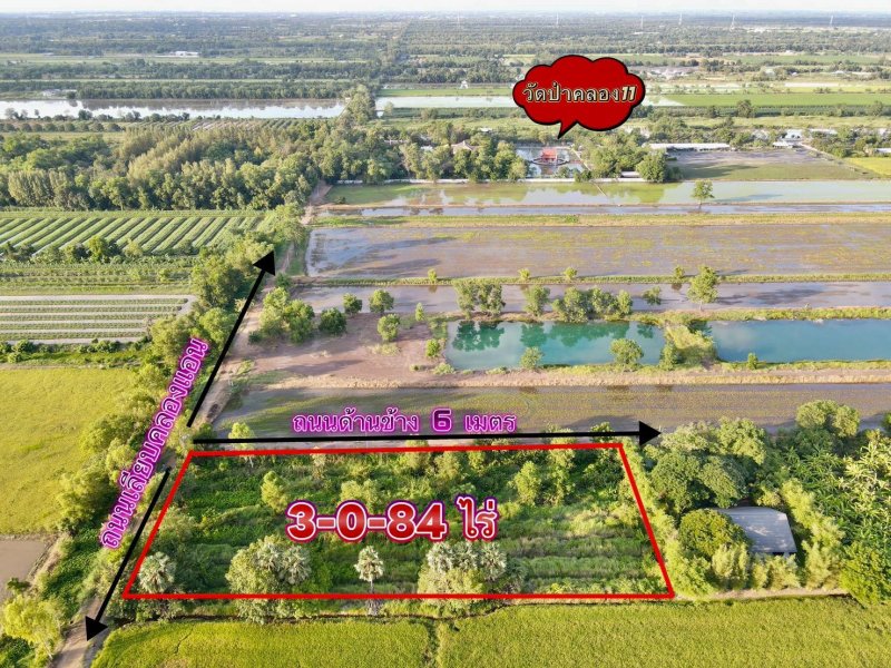 รูปที่2 ต้องการขายที่ดินเปล่า บึงชำอ้อ หนองเสือ ราคา 2,980,000 บาท