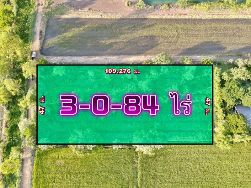 รูปที่3 ต้องการขายที่ดินเปล่า บึงชำอ้อ หนองเสือ ราคา 2,980,000 บาท