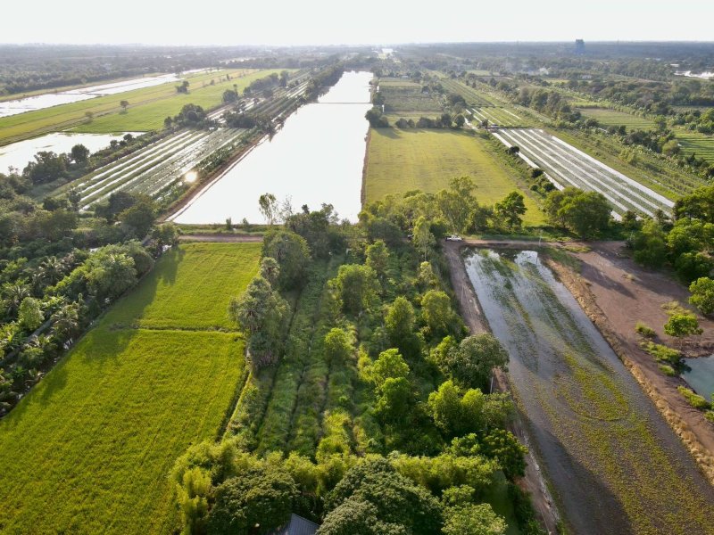 รูปที่7 ต้องการขายที่ดินเปล่า บึงชำอ้อ หนองเสือ ราคา 2,980,000 บาท