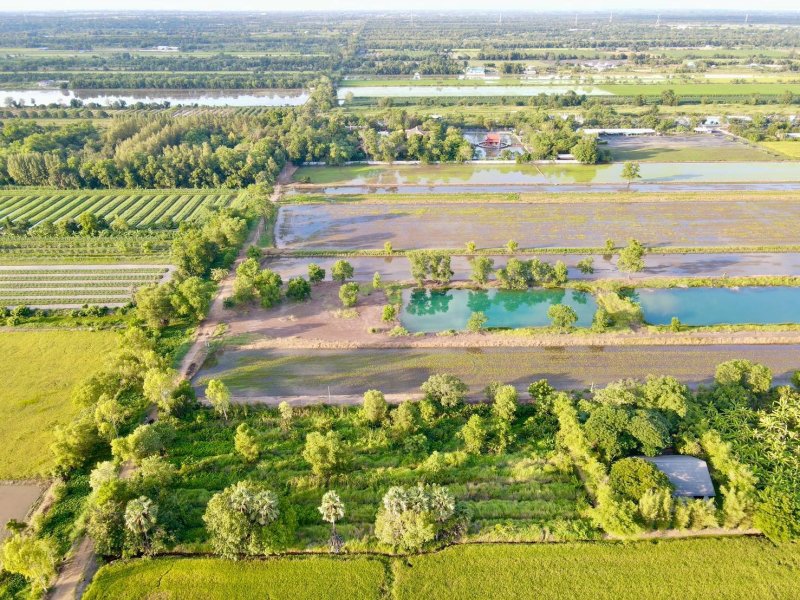 รูปที่8 ต้องการขายที่ดินเปล่า บึงชำอ้อ หนองเสือ ราคา 2,980,000 บาท