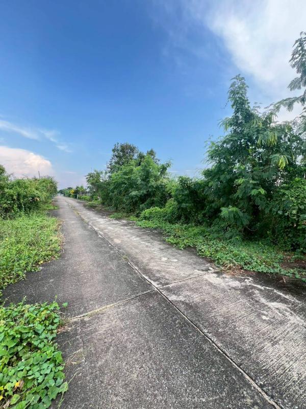 รูปที่8 ต้องการขายที่ดินเปล่า บึงชำอ้อ หนองเสือ ราคา 380,000 บาท