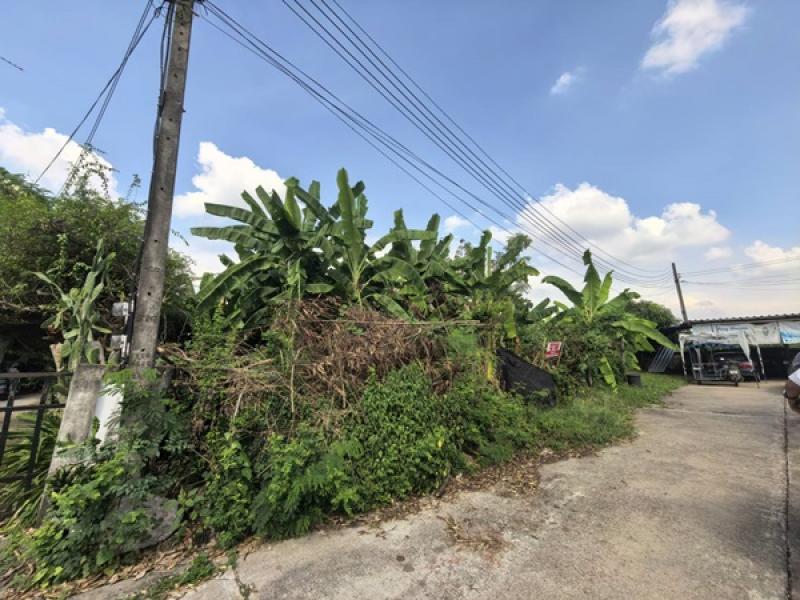 รูปที่2 ต้องการขายที่ดินเปล่า บึงน้ำรักษ์ ธัญบุรี ราคา 850,000 บาท