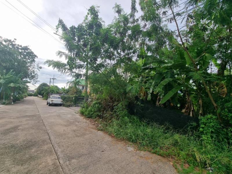 รูปที่3 ต้องการขายที่ดินเปล่า บึงน้ำรักษ์ ธัญบุรี ราคา 850,000 บาท