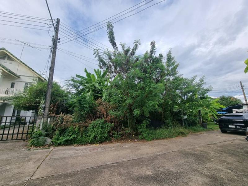 รูปที่4 ต้องการขายที่ดินเปล่า บึงน้ำรักษ์ ธัญบุรี ราคา 850,000 บาท